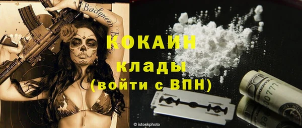 шишки Лихославль