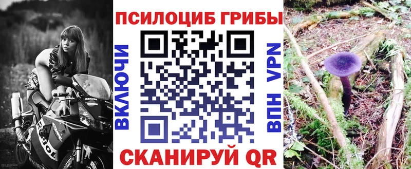 где купить   Суровикино  Псилоцибиновые грибы MAGIC MUSHROOMS 